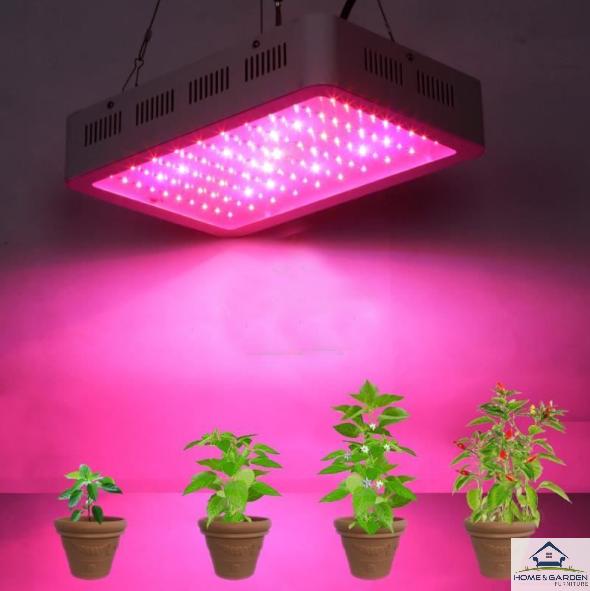 Đèn LED trồng cây trong nhà đủ phổ 300w Super Growth