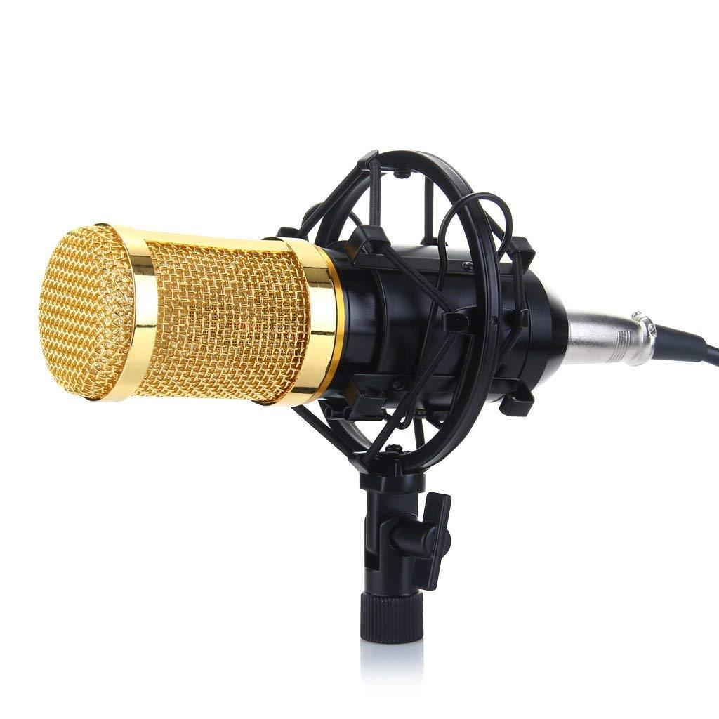Micro BM-800 hát livestream karaoke BH 6 tháng đổi mới