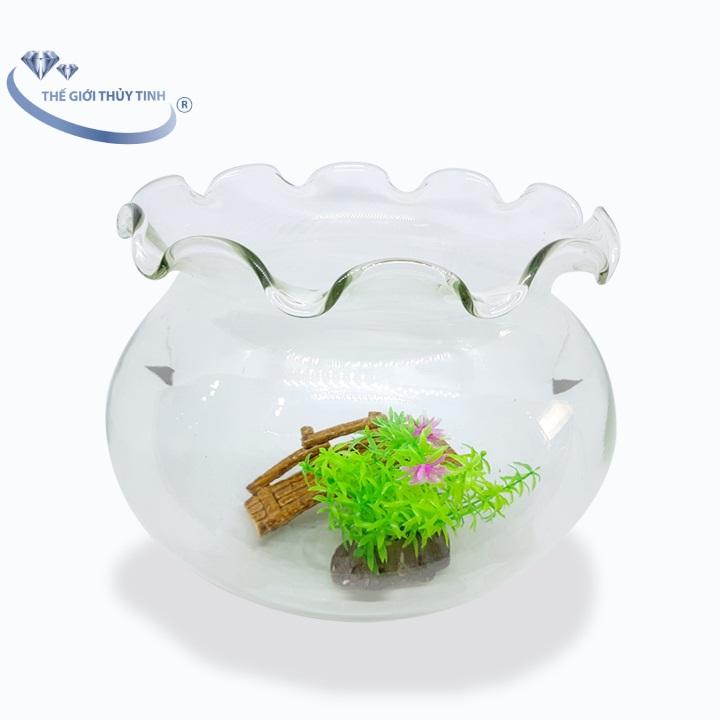 Bể Cá Mini Thủy Tinh Hồ Cá Miệng Bèo D17Cm X H16Cm - B11