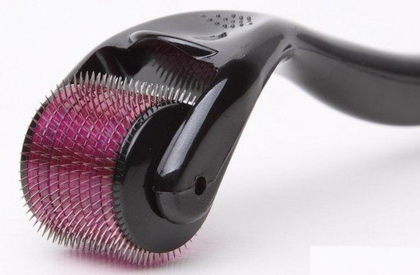 Cây lăn đầu kim trị mụn sẹo