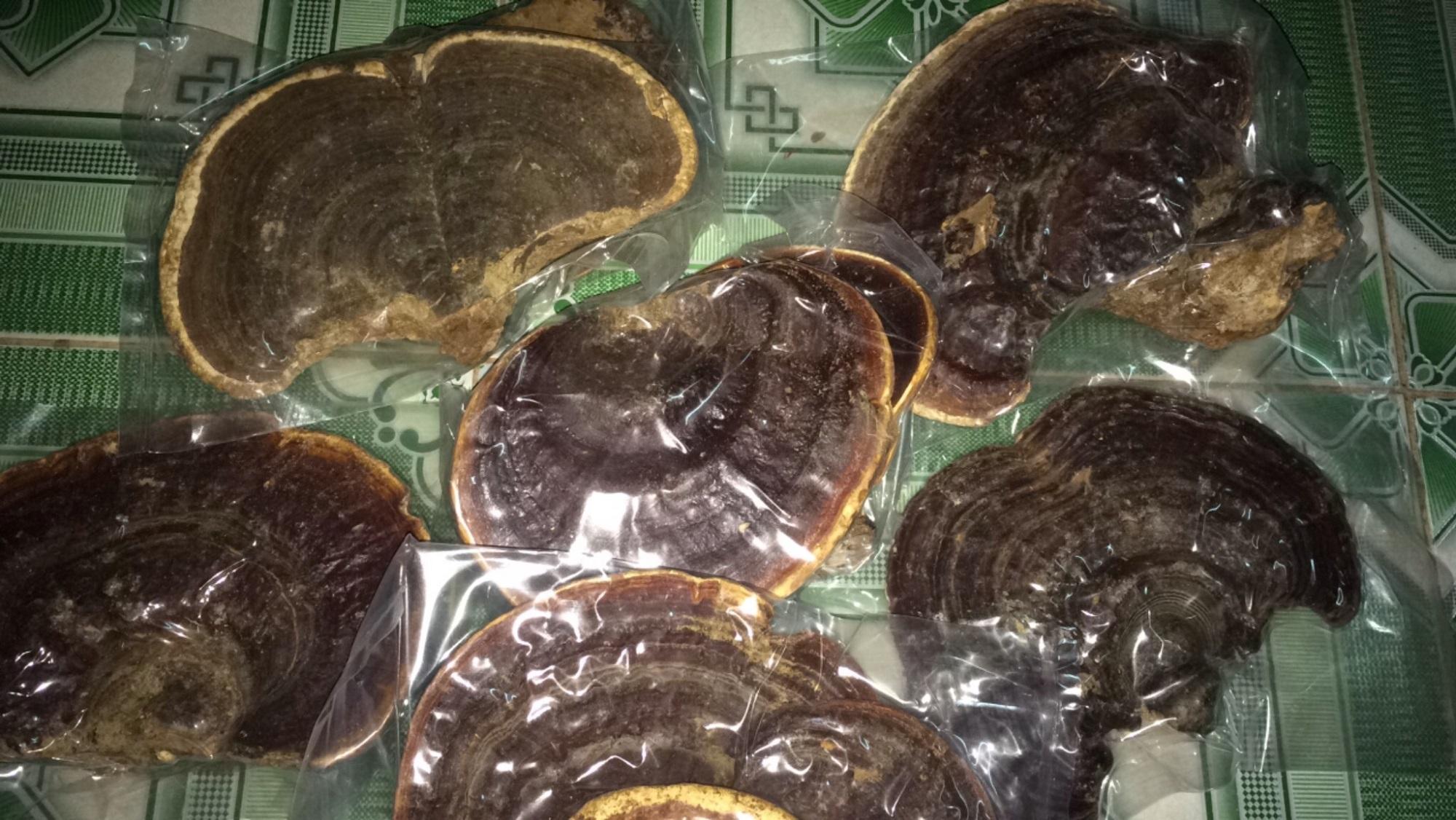Nấm Linh chi rừng 500g khô