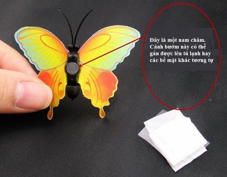 [HCM]bộ bướm 3d nam châm