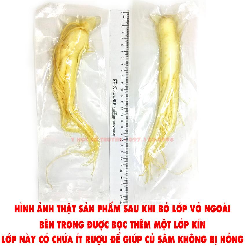 Combo 2 Nhân sâm tươi Hàn Quốc (Loại tốt) - Tặng 200gTáo đỏ
