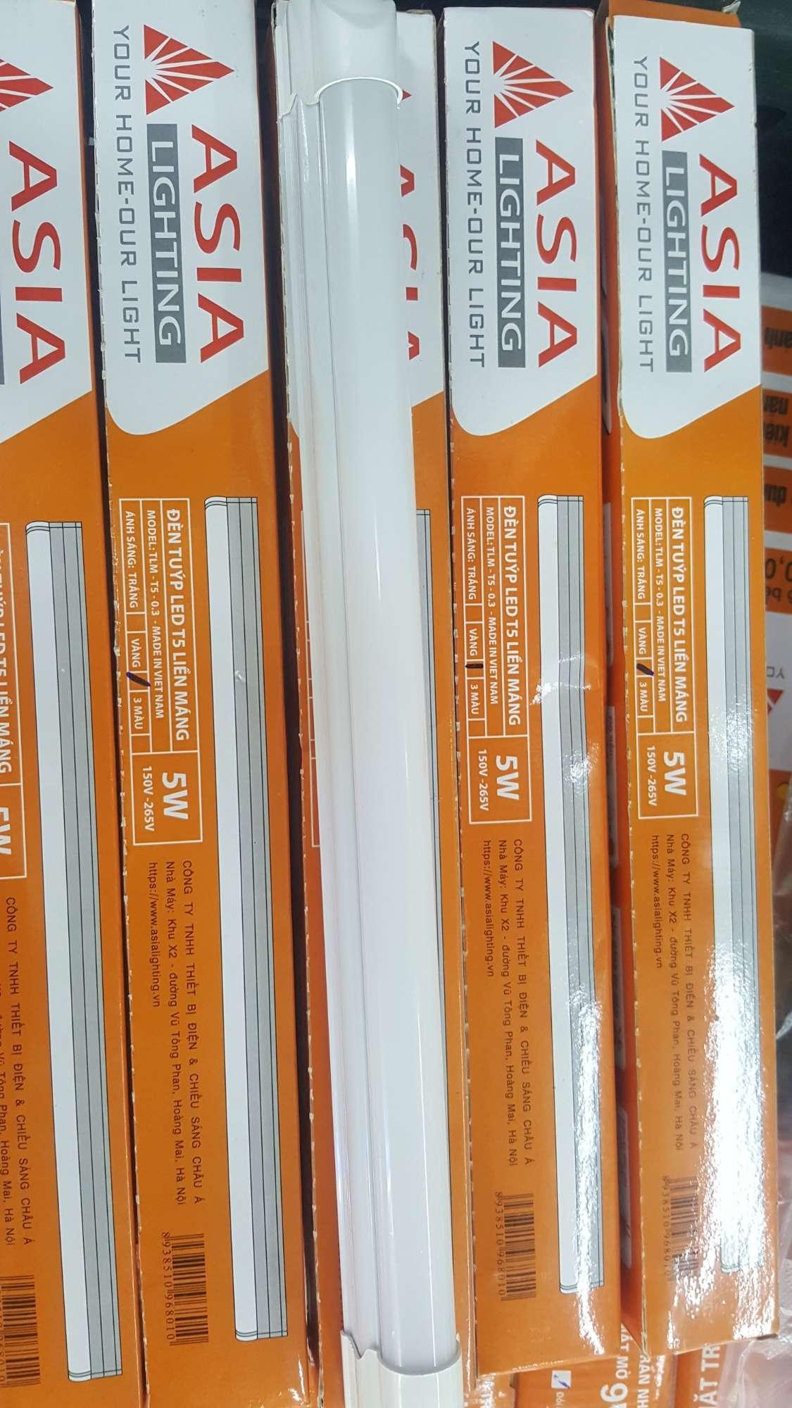 Bộ Tuýp Led liền máng T5 - 0.3M ASIA