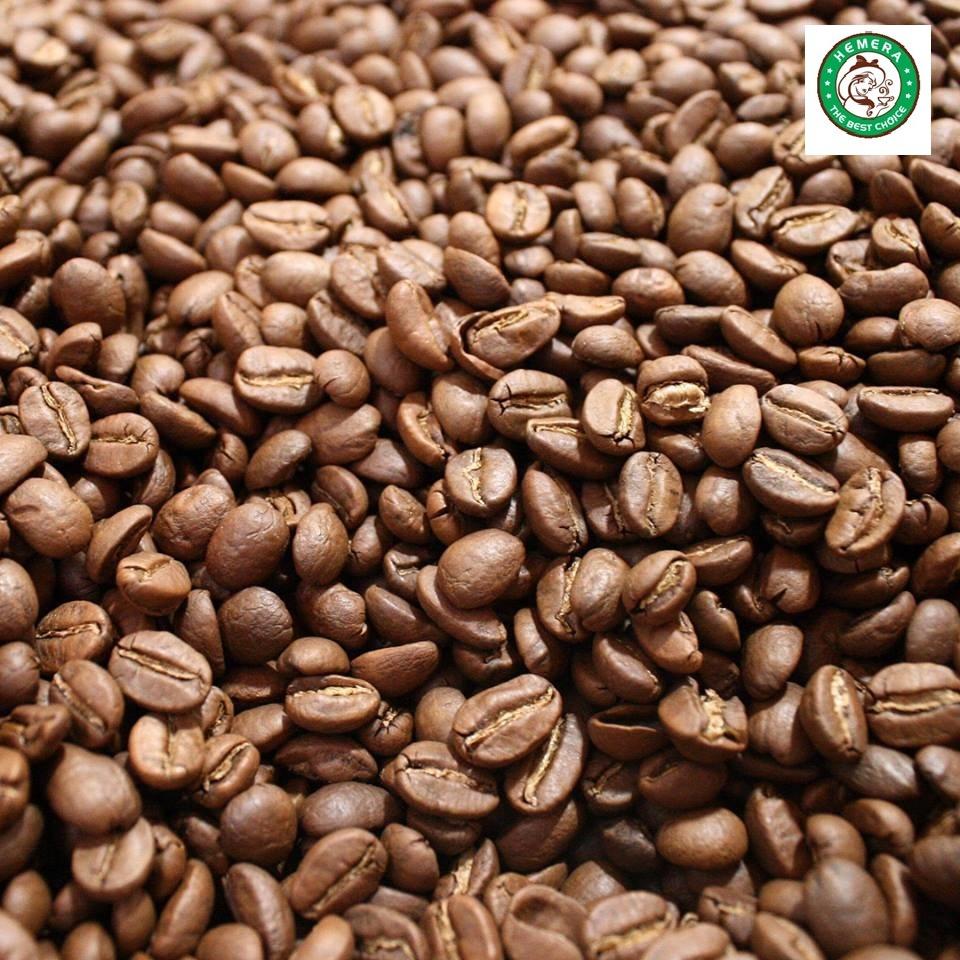 Hemera Coffee Traditional Beans (250gr)