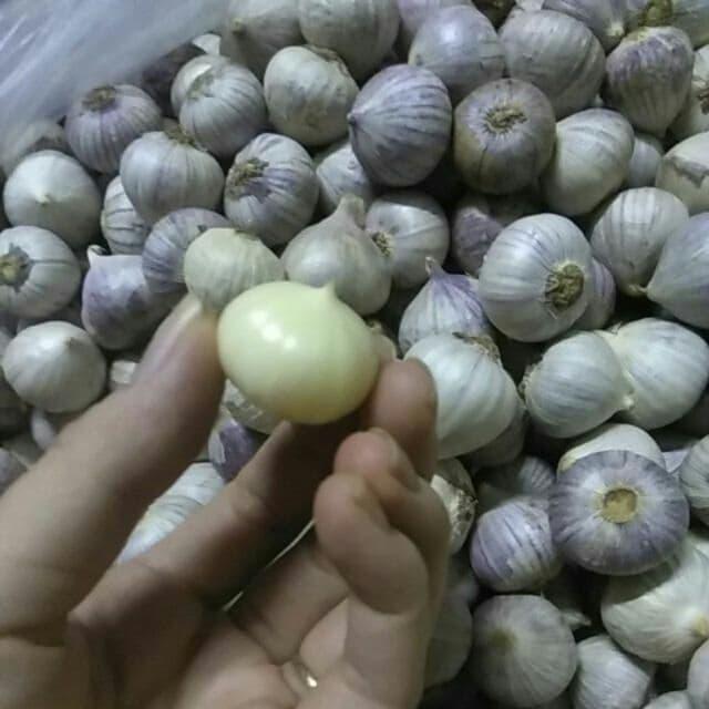 COMBO 2 KG TỎI CÔ ĐƠN TA CHUYÊN LÀM TỎI ĐEN