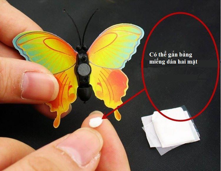 [HCM]bộ bướm 3d nam châm