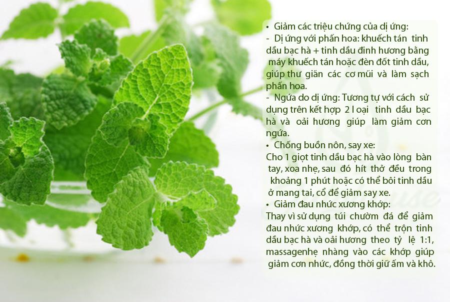 Tinh dầu Bạc Hà Dưỡng tóc Julyhouse 10ml