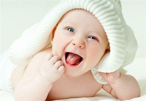 Ghế ăn dặm cao cấp Mastela 1013