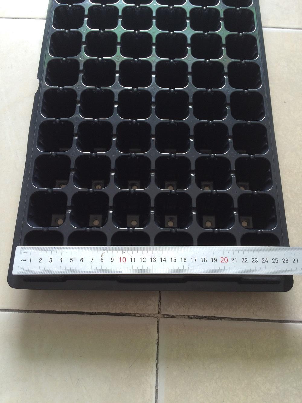Bộ 5 khay ươm hạt giống 72 lỗ