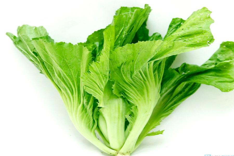 Gói 20g Hạt giống Cải Bẹ Dưa