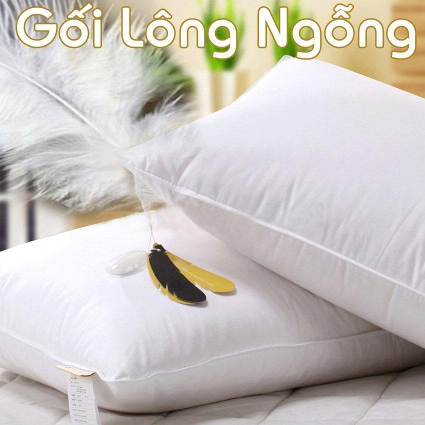 Gối nằm lông ngỗng 50x70