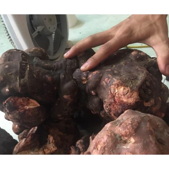 Viên hà thủ ô 500g