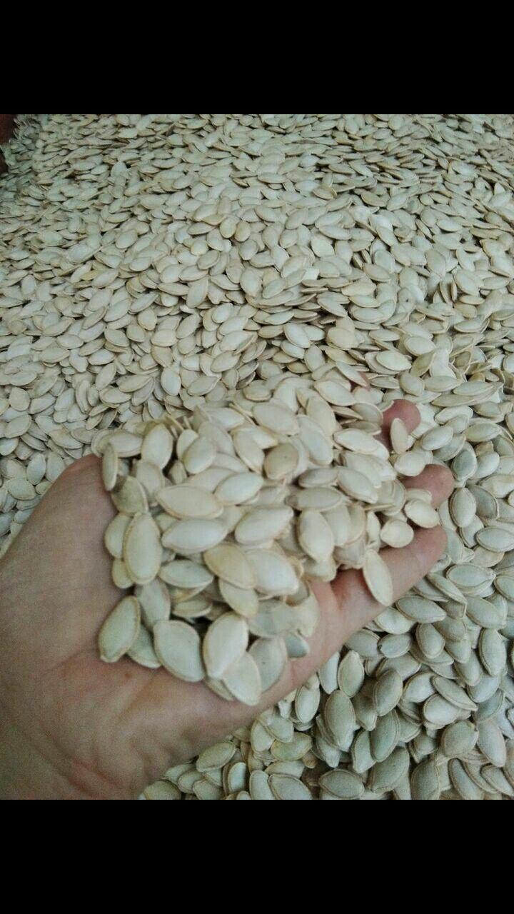 500g hạt bí trắng rang sẵn