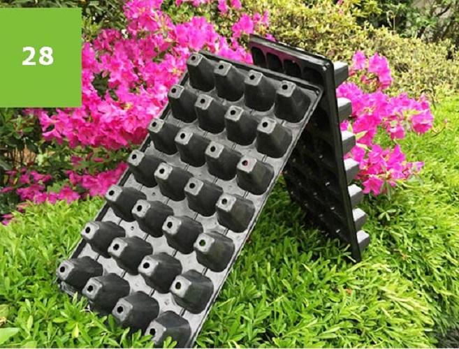 Bộ 5 khay ươm hạt giống 28 lỗ
