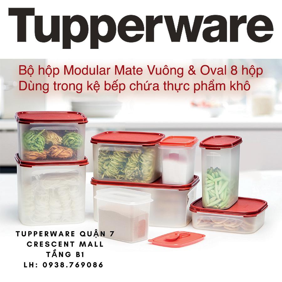 Bộ hộp kệ bếp Modular Mate Vuông & Oval (8 hộp) + SET QUÀ TẶNG HẤP DẪN