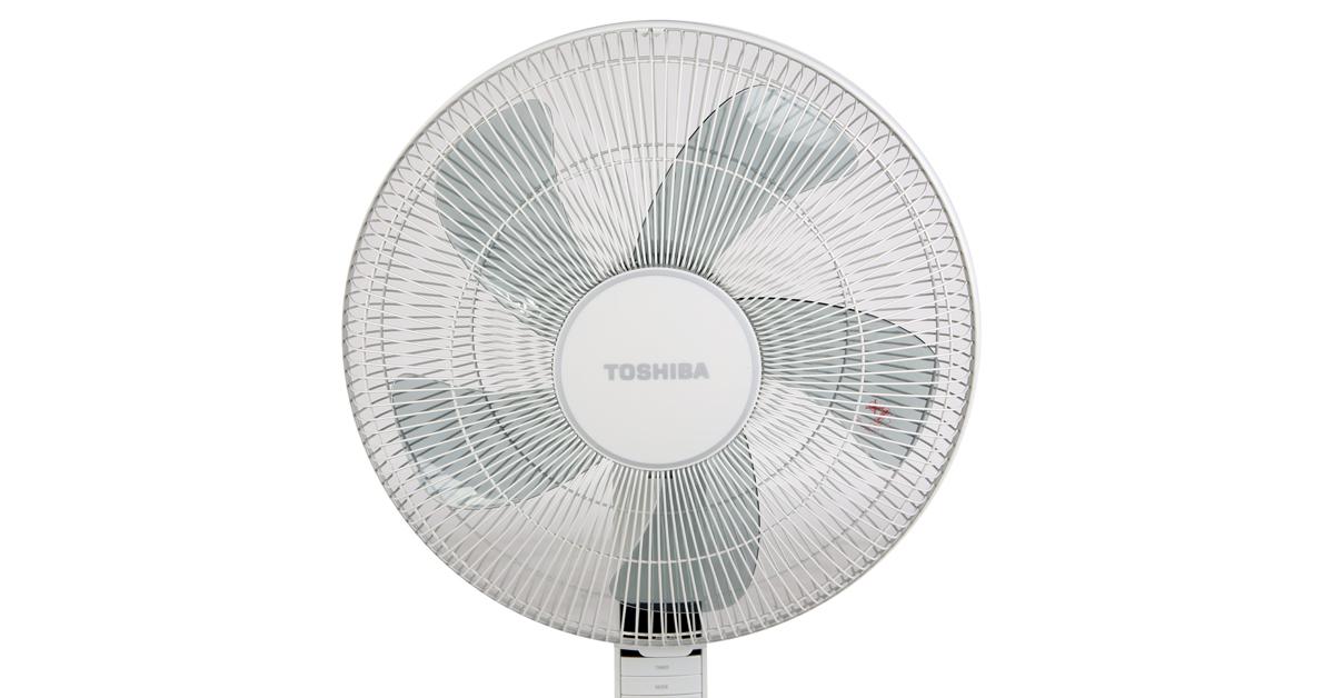 Quạt cây TOSHIBA F-LSA20(H)VN