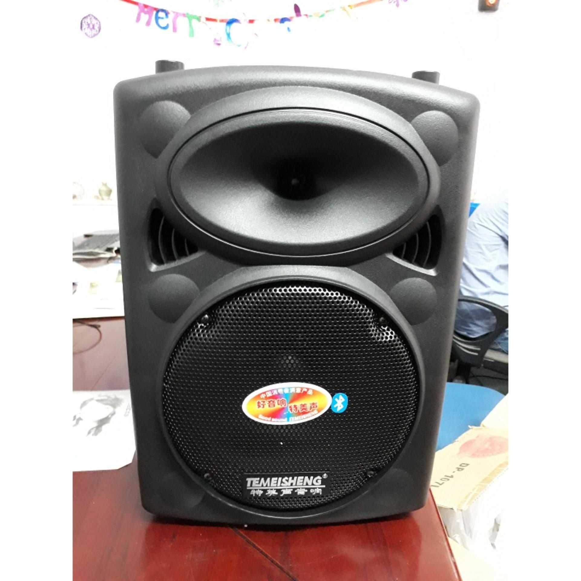 [HCM]Loa kéo Temeisheng DP-107L (Đen)