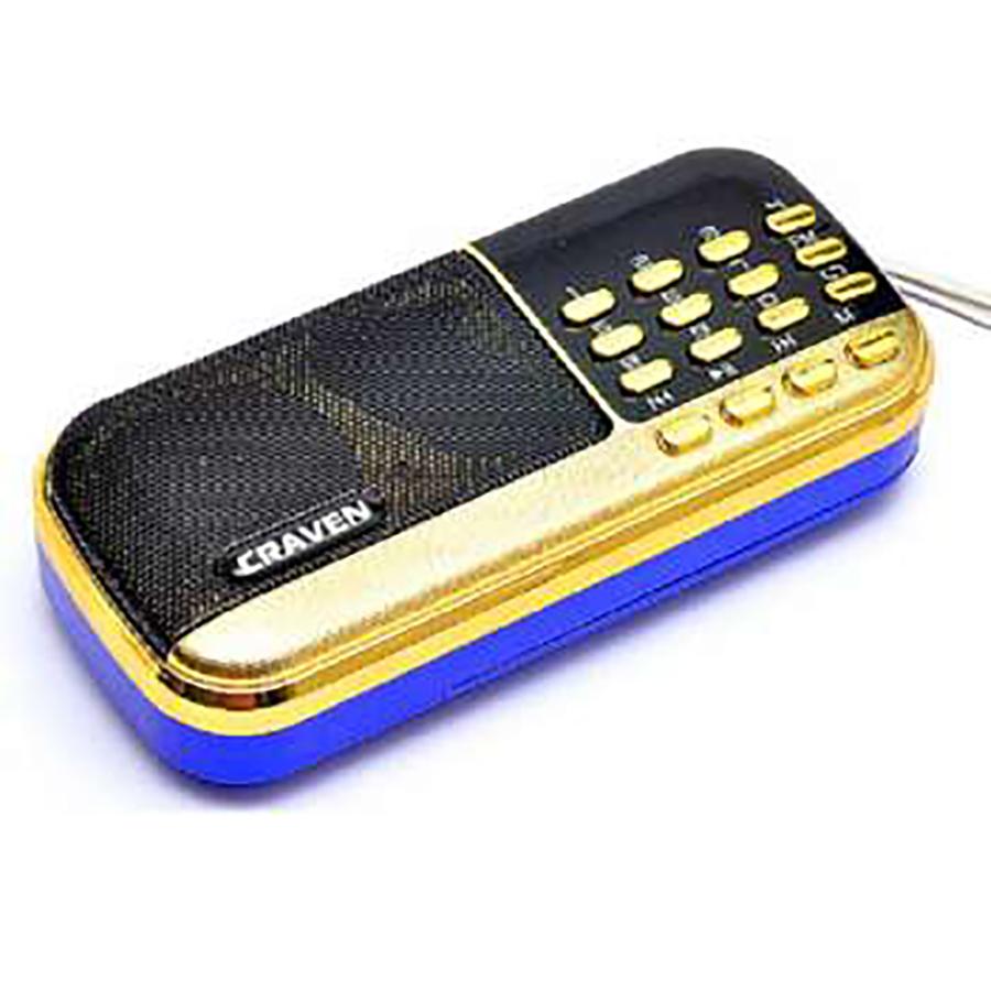 [HCM]Loa đài FM Craven CR836