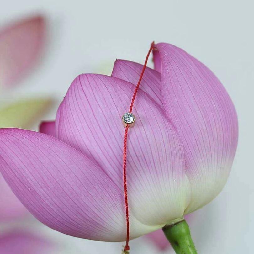 (xả hàng) Vòng tay chỉ đỏ kim vàng may mắn thái lan
