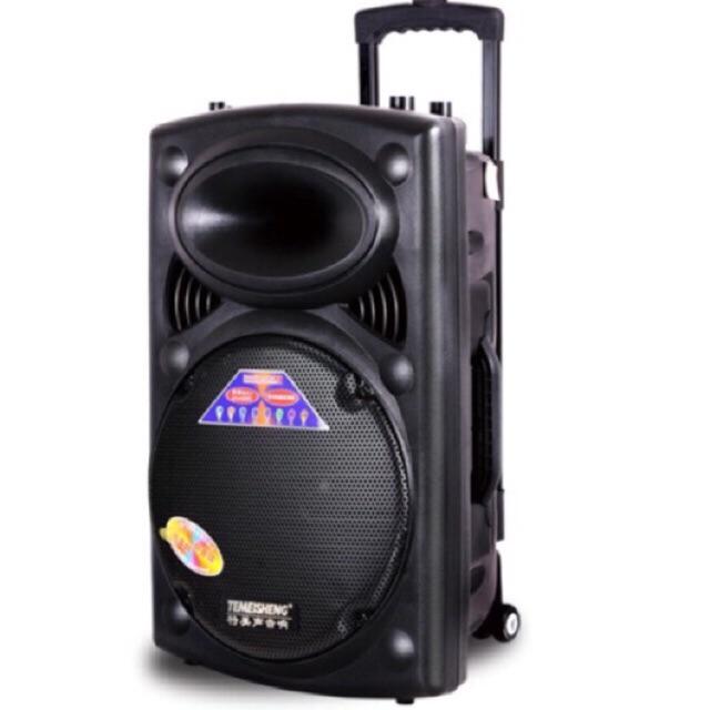 Loa Temeisheng 297L (DP-297L)