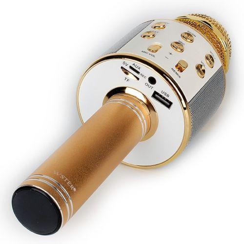 MICRO KÈM LOA BLUETOOTH WS-858 CÓ CỔNG OUT JACK 3.5 RA AMPLY,LOA LỚN