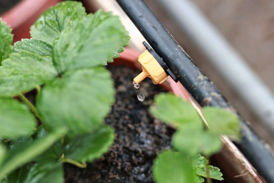 Bộ 20 cái béc tưới nhỏ giọt bù áp