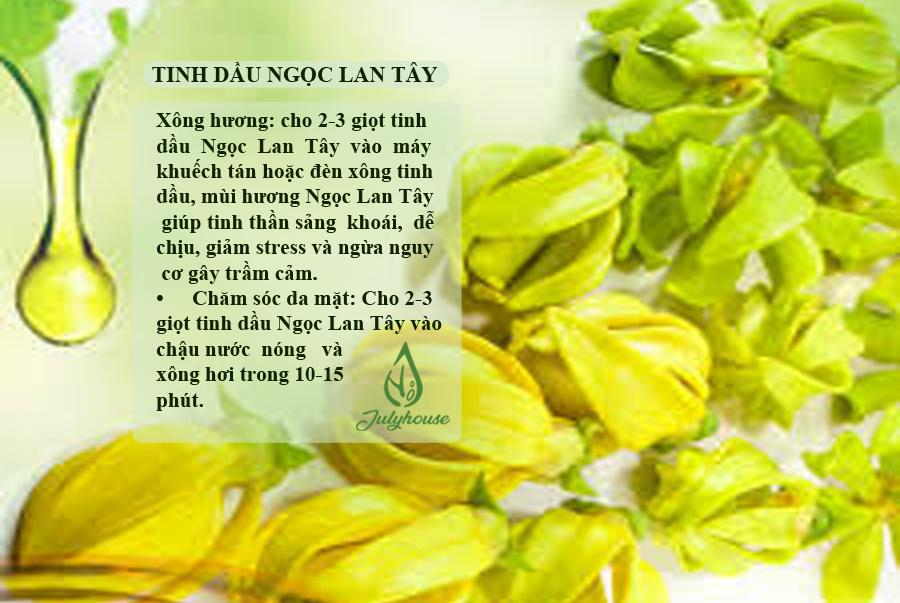Tinh dầu Ngọc Lan Tây Julyhouse 50ml