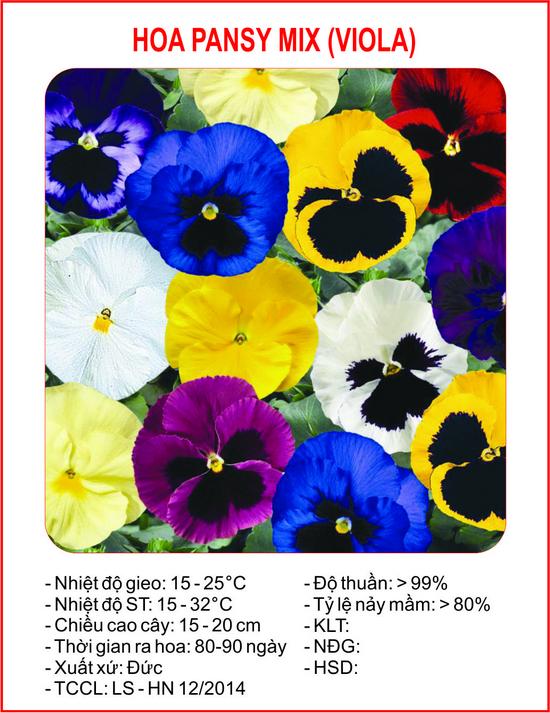 [Lấy mã giảm thêm 30%] Hạt giống Pansy mix (100 hạt)