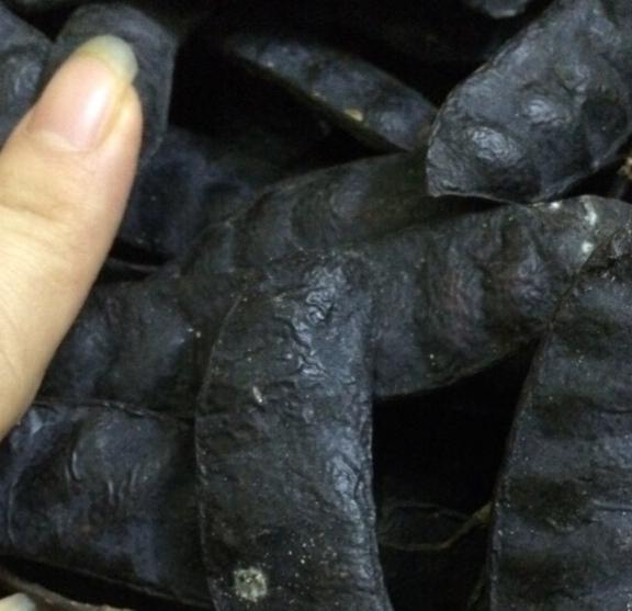 Bồ kết khô 1kg