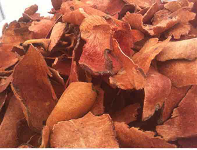 Cây Khúc Khắc Túi 1kg