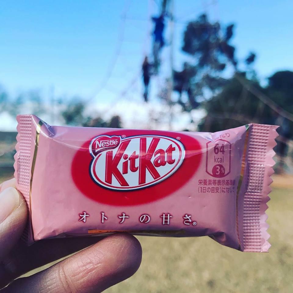 Bánh Kitkat Phúc Bồn Tử mâm xôi) - Nhật bản