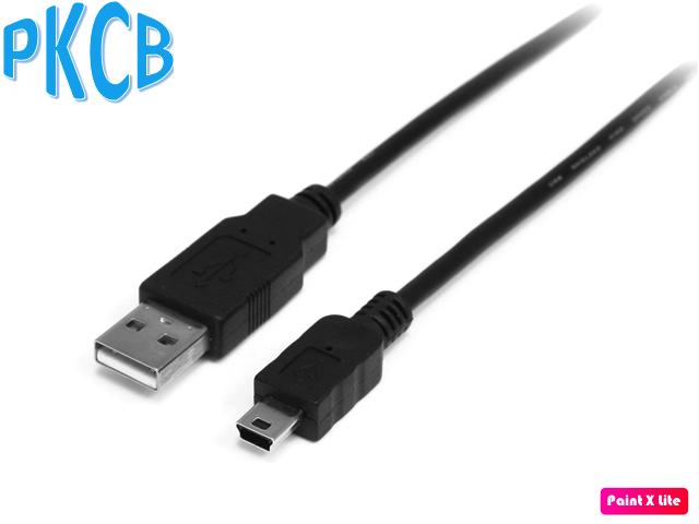 Dây Cáp Chuyển Đổi USB 2.0 Ra Mini USB (3 mét) - PKCB