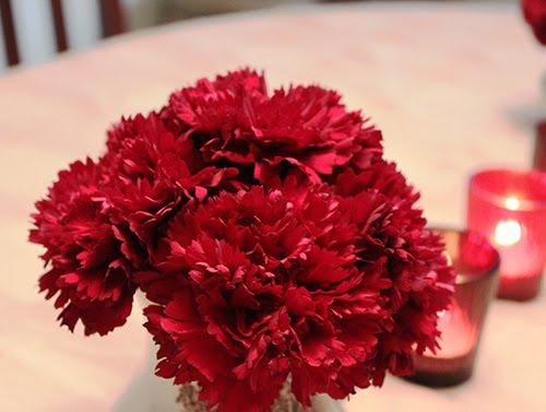 Hạt giống hoa Cẩm chướng kép mix