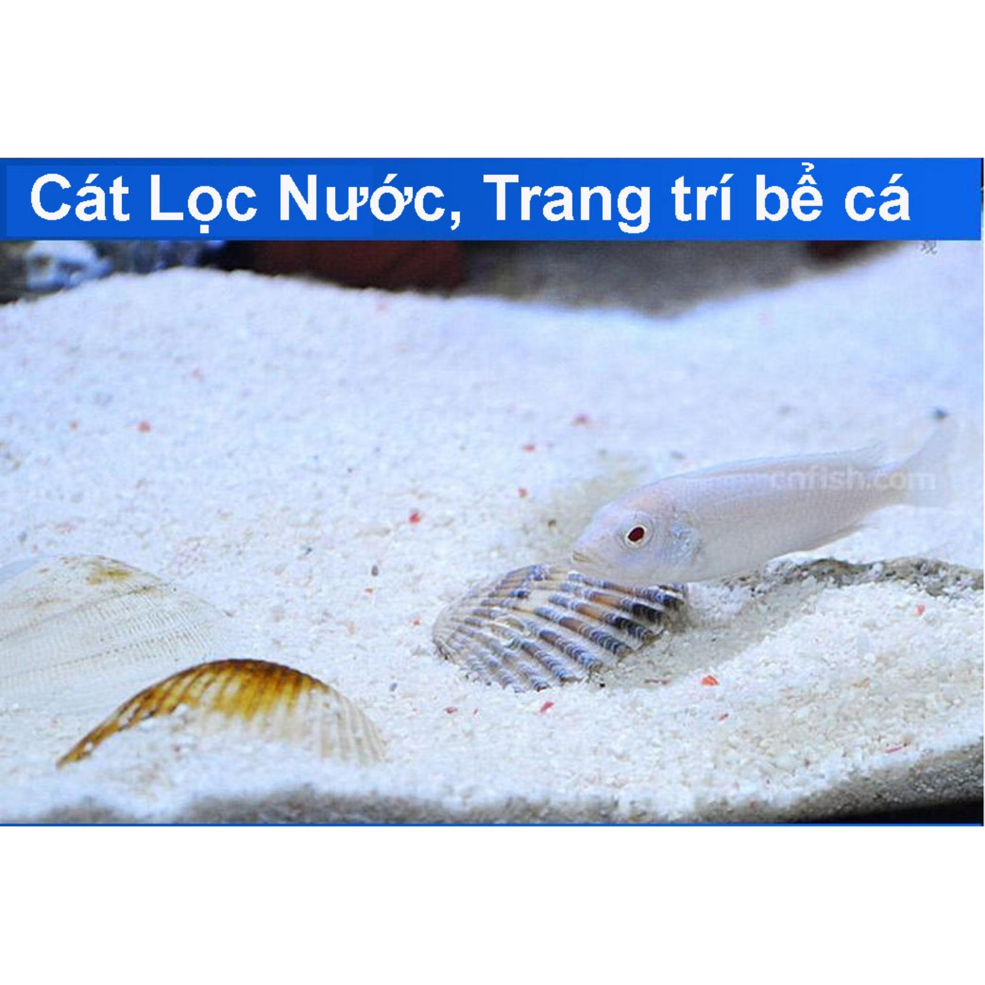 COMBO CÁT THẠCH ANH (2 KG) + BÔNG LỌC BỂ CÁ 60X13CM