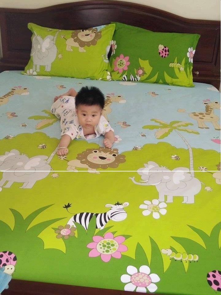 Ga chống thấm Goodmama 1.6x2m