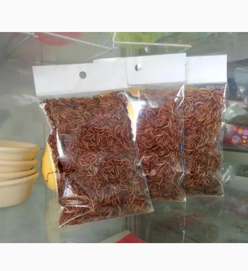 Sâu khô 50g L1 cho chim hàng tuyển, làm sâu quy khô, sâu khô cho chào mào, sâu khô loại 1 cho khuyên, sâu ngon cho chim cưng, sâu khô cho chích chòe, sâu khô cho sáo