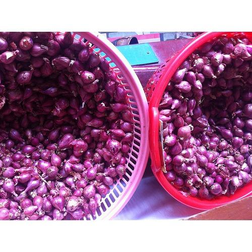 HÀNH TÍM LÝ SƠN CHÍNH GỐC( 1KG )