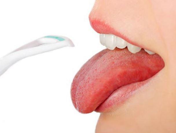 5 Gói dụng cụ cạo lưỡi cao cấp Nhật gói 5 chiếc - Okamura (Japan)