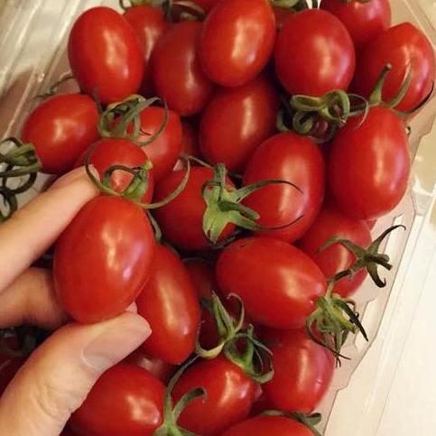 Gói 0.1g Hạt giống Cà Chua Bi Oval (tặng gói kích nẩy mầm và hướng dẫn)