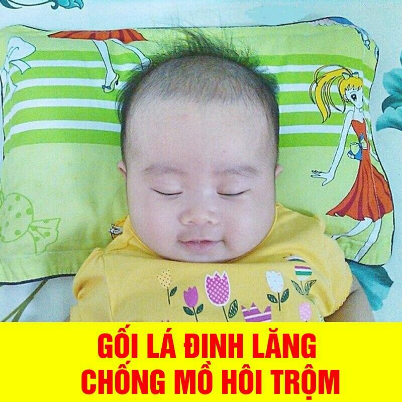 Gối lá đinh lăng cho bé 0-1 tuổi
