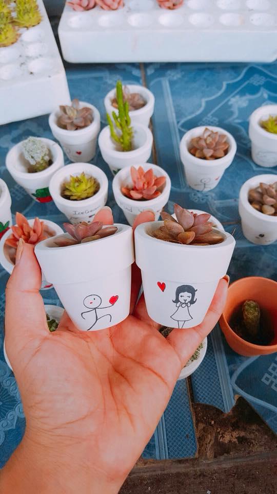 Combo 02 chậu sen đá mini trao yêu thương