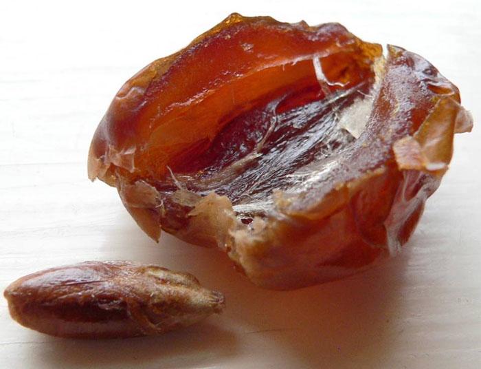Chà là nguyên cành Israel 500g
