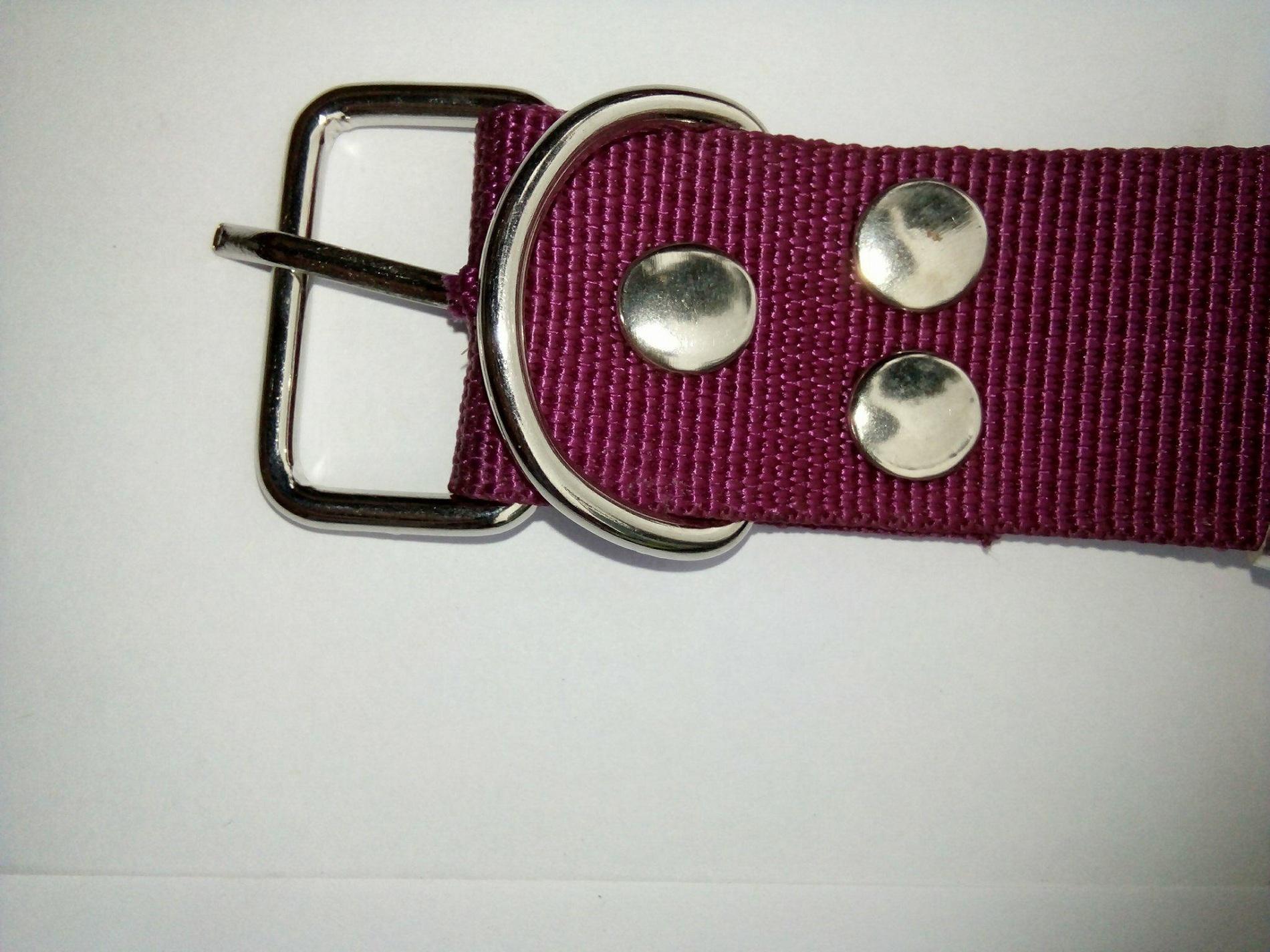 Xích inox kèm dây đeo cổ cho chó to