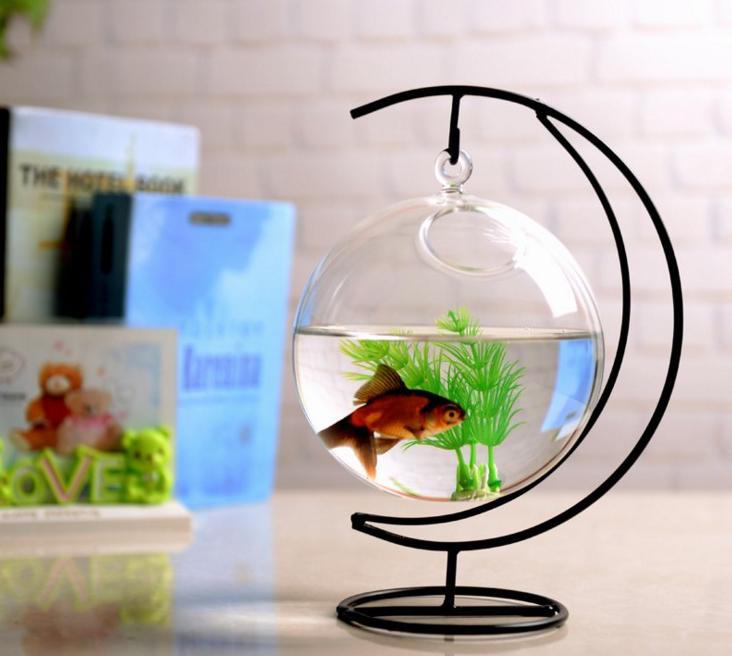 Bể cá mini để bàn treo cung trăng 14cm