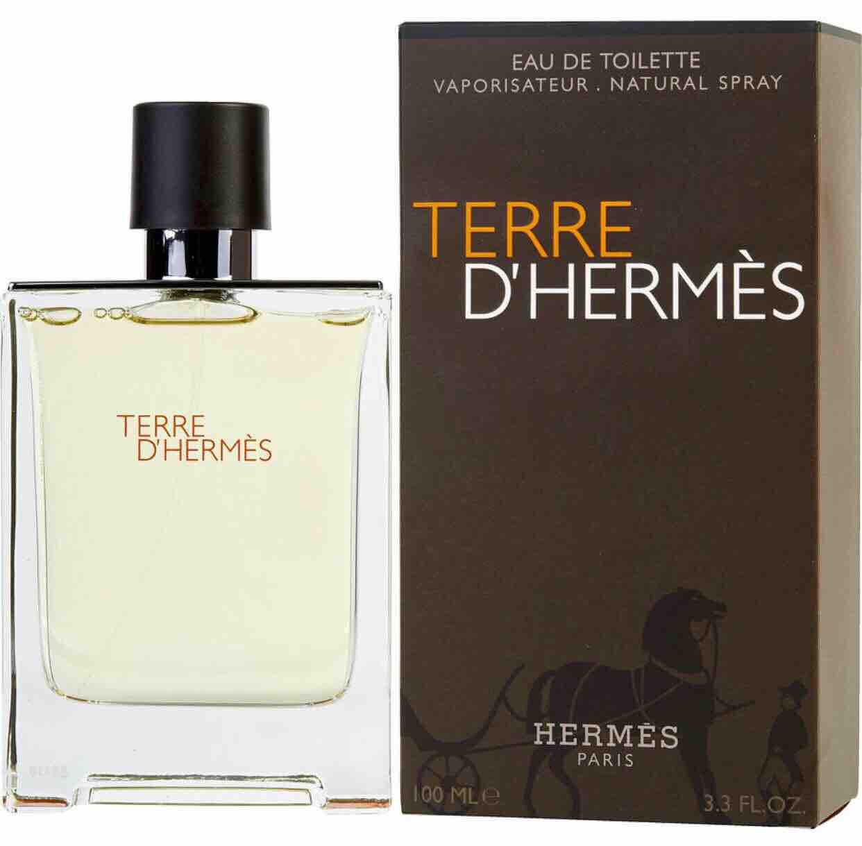 [HCM]Nước hoa nam Terre Hermes EDT 100ml