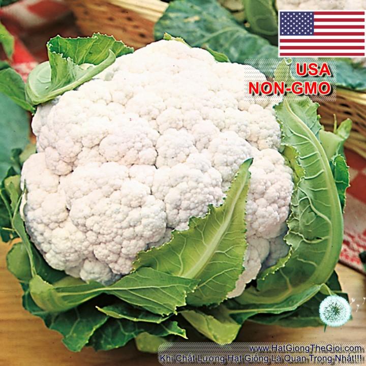 0.5Gr Hạt Giống Bông Cải Trắng Tự Cuộn Lá SnowBall (A2.302| C10*W51*M191)