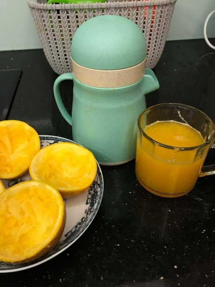 Dụng cụ vắt cam lúa mạch.