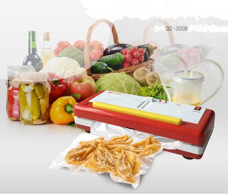 Máy Hút Chân Không DZ 300B