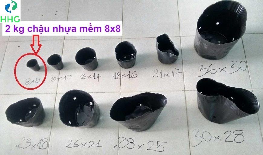 2kg chậu nhựa mềm ươm cây 8x8